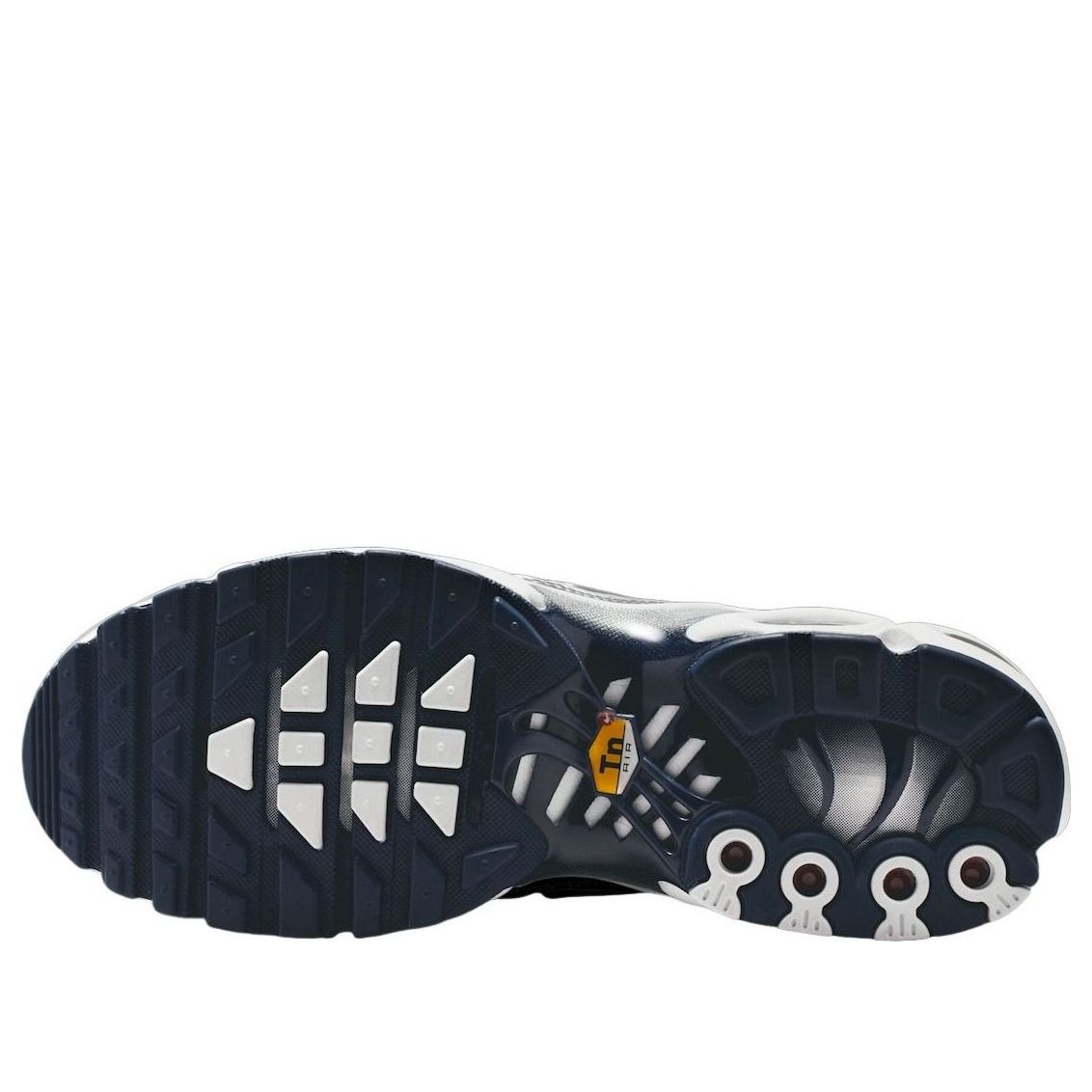 Nike Air Max Plus White Ashen Slate Metallic Silver