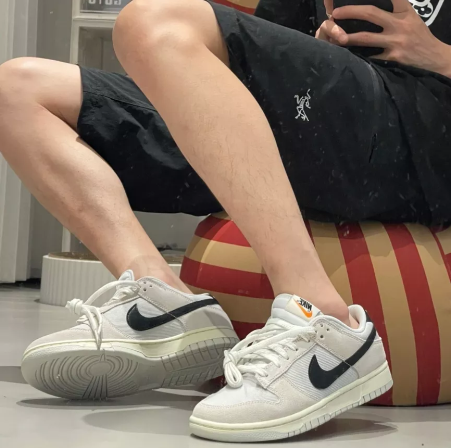 Nike Dunk Low Certified Fresh