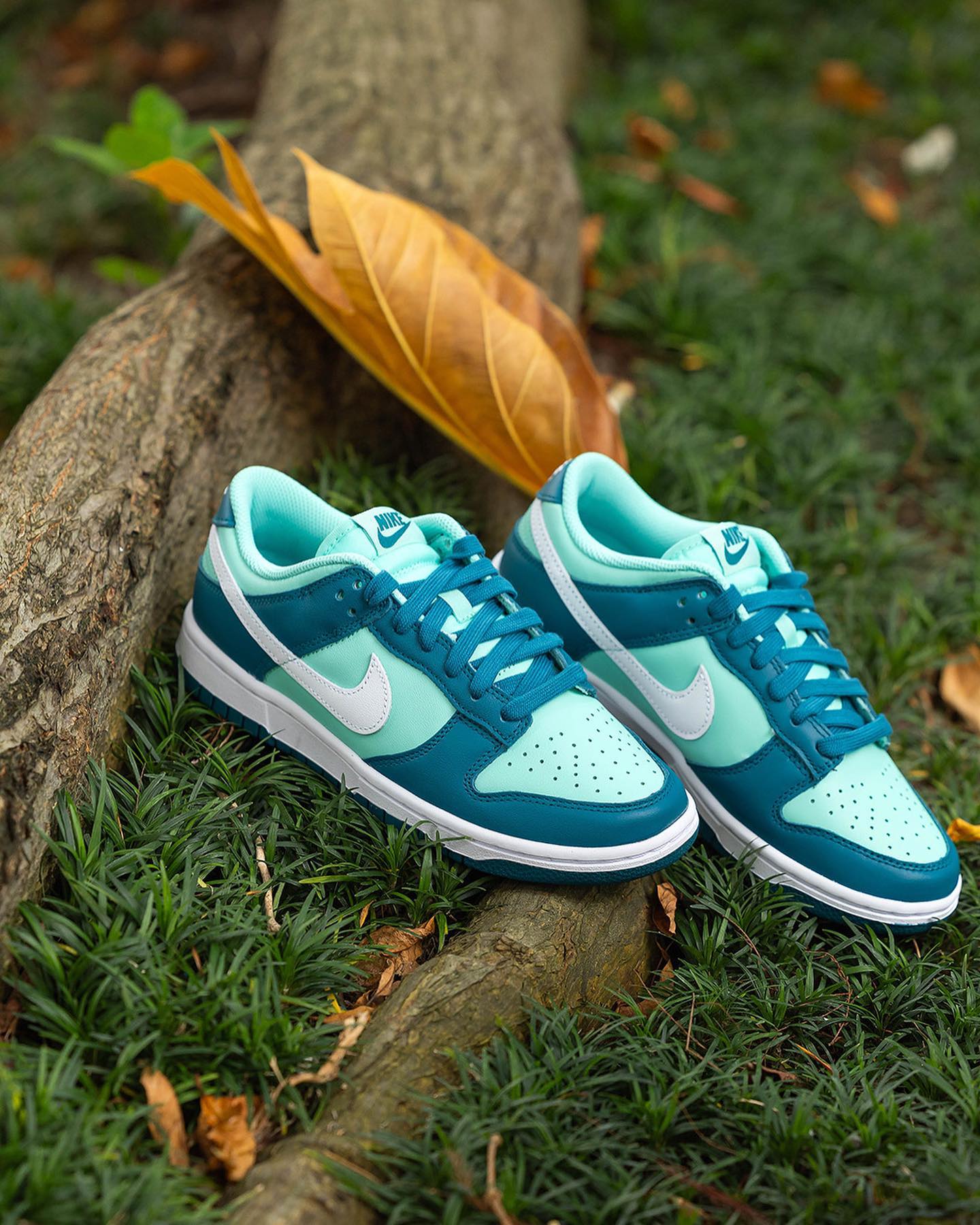 Nike Dunk Low Geode Teal sneakers in teal and white resting on grass and tree roots with a fallen yellow leaf, showcasing exclusive European sneaker style. The real deal.