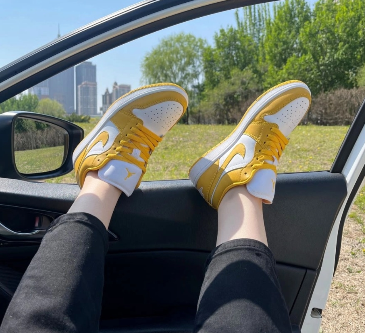 Air Jordan 1 Low Pollen 553558-171