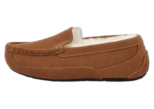 UGG Ascot Slipper Chestnut Suede (Kids)