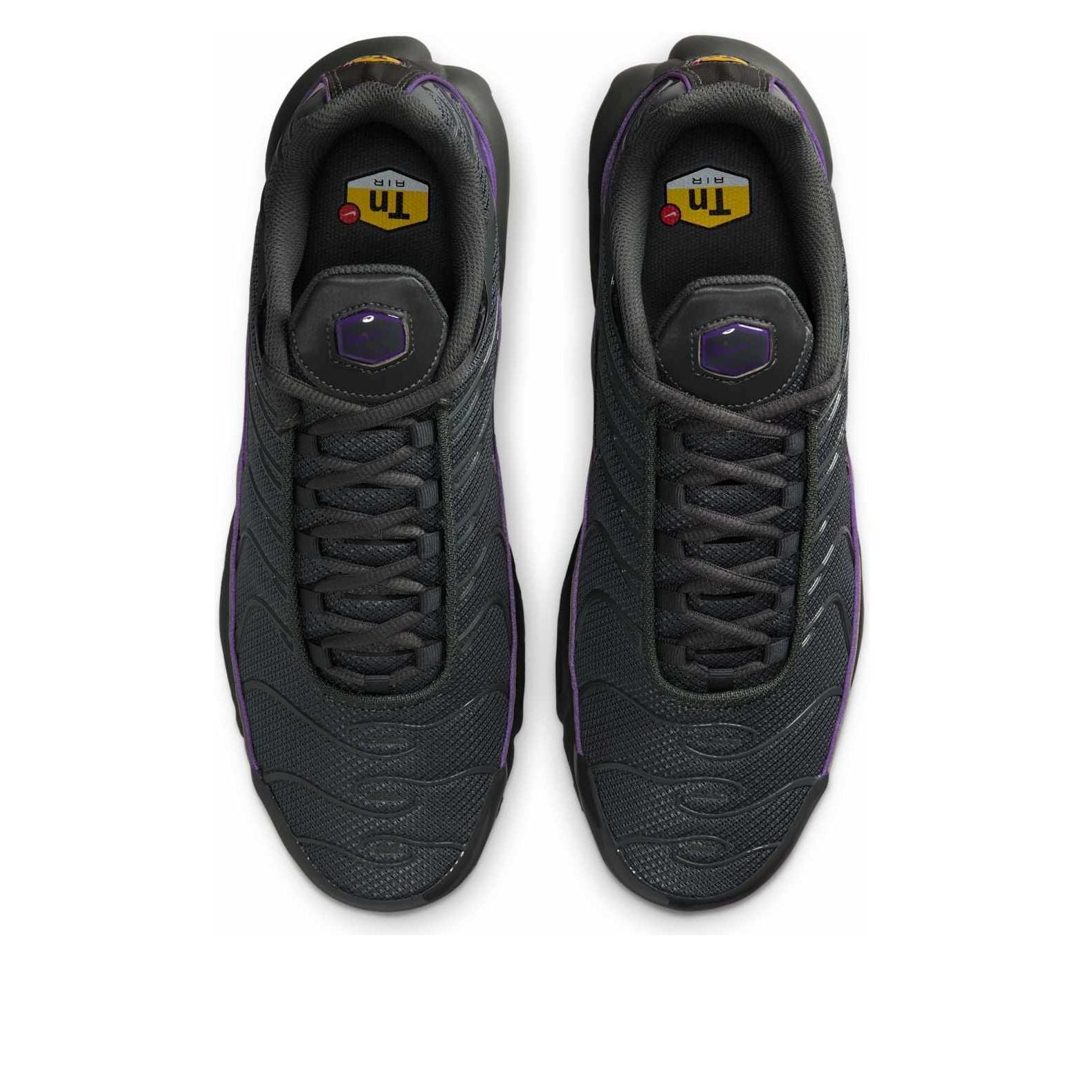 Nike Air Max Plus OG Iron Grey Wild Grape