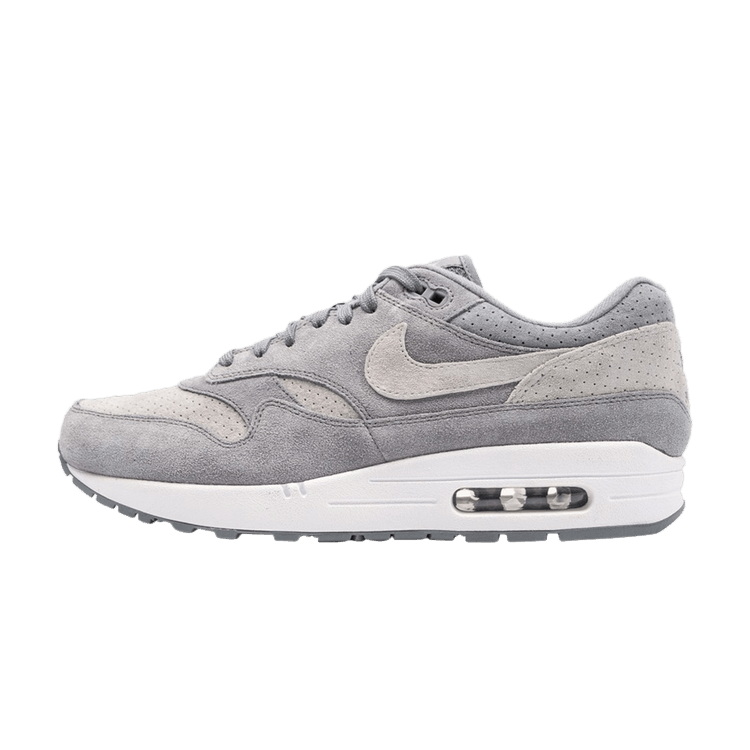 Nike Air Max 1 Cool Grey Wolf Grey