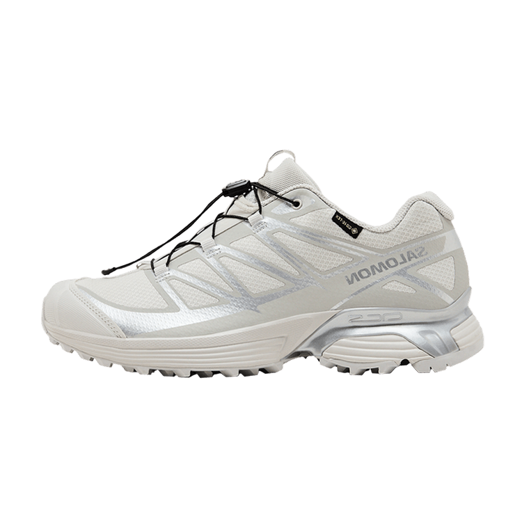 Salomon XT-Pathway GTX Lunar Rock Alloy