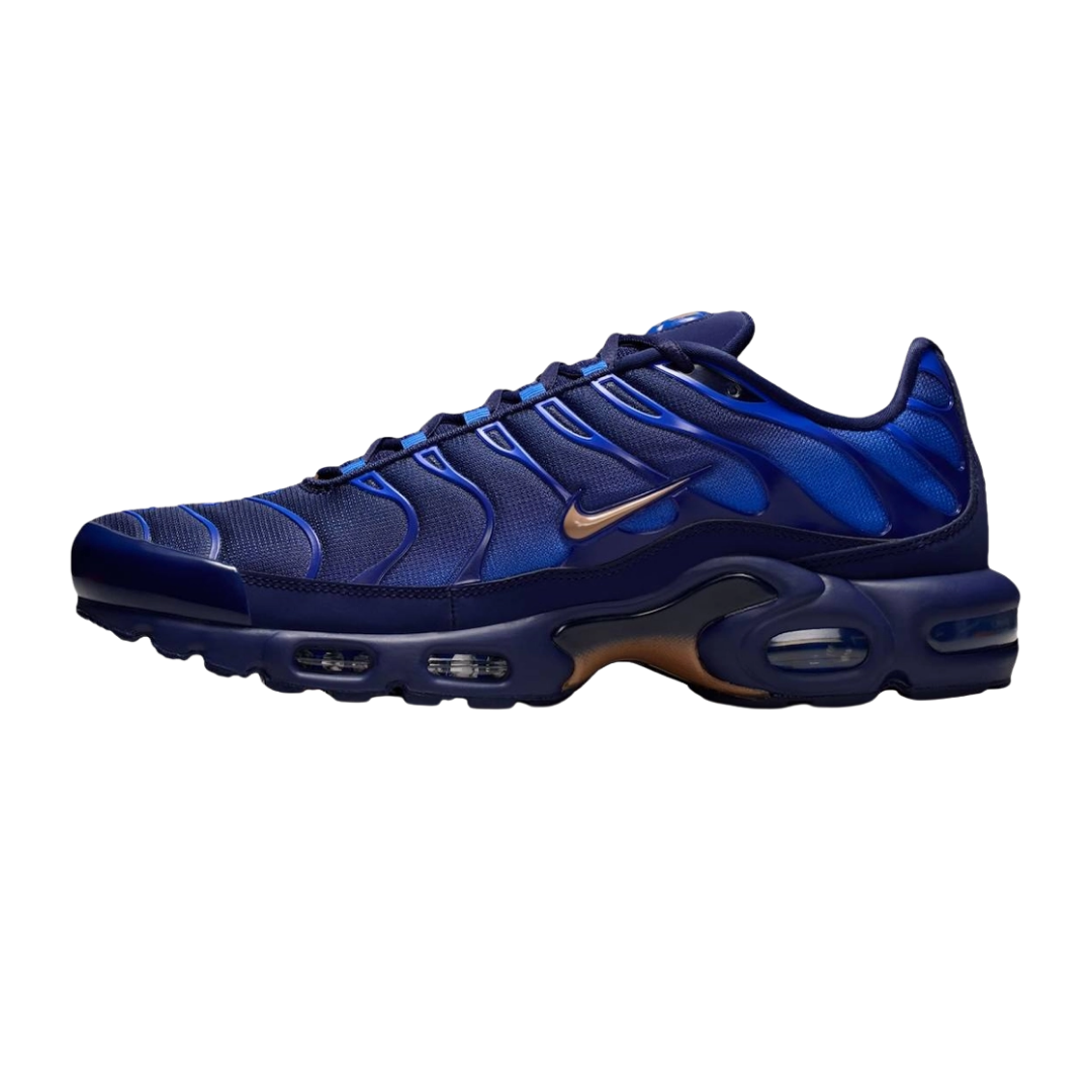 Nike Air Max Plus French Football Federation